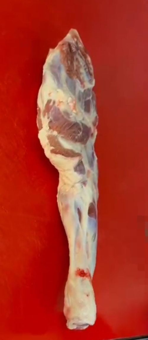 כתף טלה שלמה בלאדי מקורי ארץ ישראלי