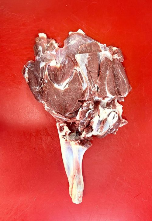 כתף טלה מפולט בלאדי מקורי ארץ ישראלי